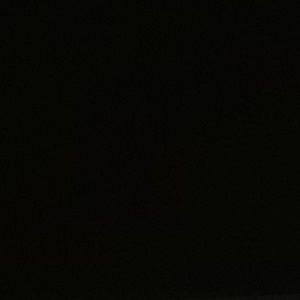 Meet your Posher, Gracee